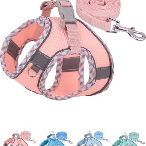 Dog Harness for Small Medium Dogs No Pull, Puppy Harness and Leash Set, Step in Dog Harness for Walking, Running, Training, Small Dog Vest (Pink, XXS)